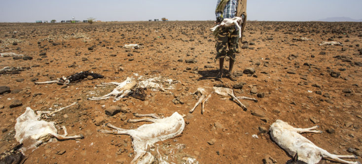 Disasters & Conflicts: South Sudan, north-east Nigeria, Somalia and ...