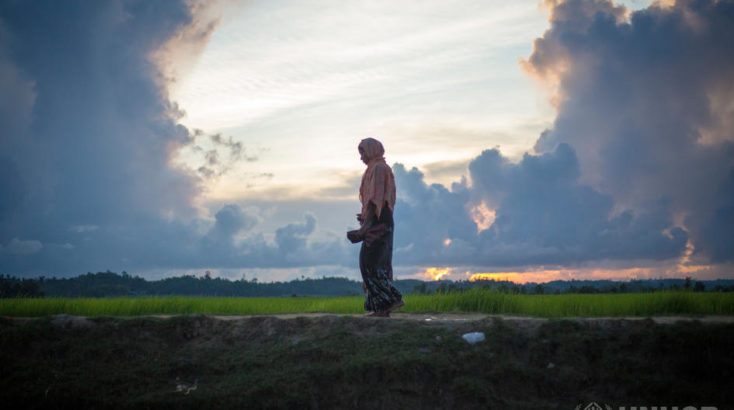 A Rohingya woman crosses the border from Myanmar into Bangladesh near the village of Anzuman Para in Palong Khali. ; As an estimated 500,000 Rohingya sought safety in Bangladesh between late-August and October 2017, UNHCR worked with the authorities to create a transit centre to prepare for a further influx, as some 11,000 people crossed the border on 9th October. They crossed by land into south-eastern Bangladesh through several points. Many came from the Buthidaung area in Myanmar’s northern Rakhine state. Some said they fled torching and killings. Others said they left in fear ahead of anticipated violence. To reach Bangladesh, they walked for days, many carrying children. They waded through marshland before swimming across the Naf river that divides the two countries. UNHCR worked swiftly to accommodate as many as possible in the camps and settlements in Kutupalong and Balukhali, and provided emergency relief items.