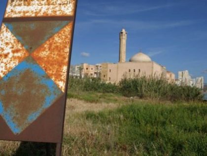 HILAC-lezing: bescherming cultureel erfgoed tijdens gewapend conflict moskee