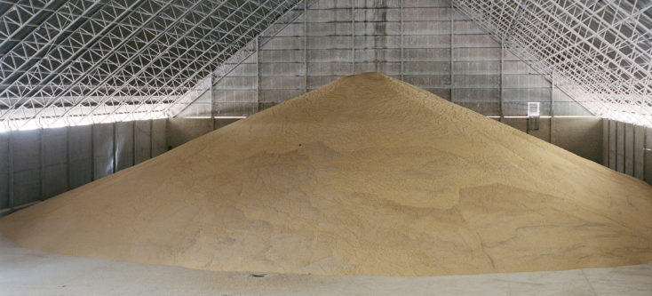 A silo full of corn at Puerto Gical, one of the main private ports on the river Paraguay near Asunción, which gives way to the growing exports in the country. Soya, cereals and meat exports placed Paraguay as one of the fastest growing economies of Latin America, reaching a historical 13% GDP growth in 2013, one of the biggest in the world. Inequalities in the soy industry of South America 1