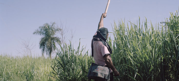 A peasant shots a firecracker to alert the population that a fumigation is happening near the community. In that situation peasants occupy the soy field in order to stop the fumigation, since they consider it to be against the community environment and its populations health. On a similar situation two weeks before the police protected the fumigation and heavily repressed the peasants leaving several injured. Inequalities in the soy industry of South America 3
